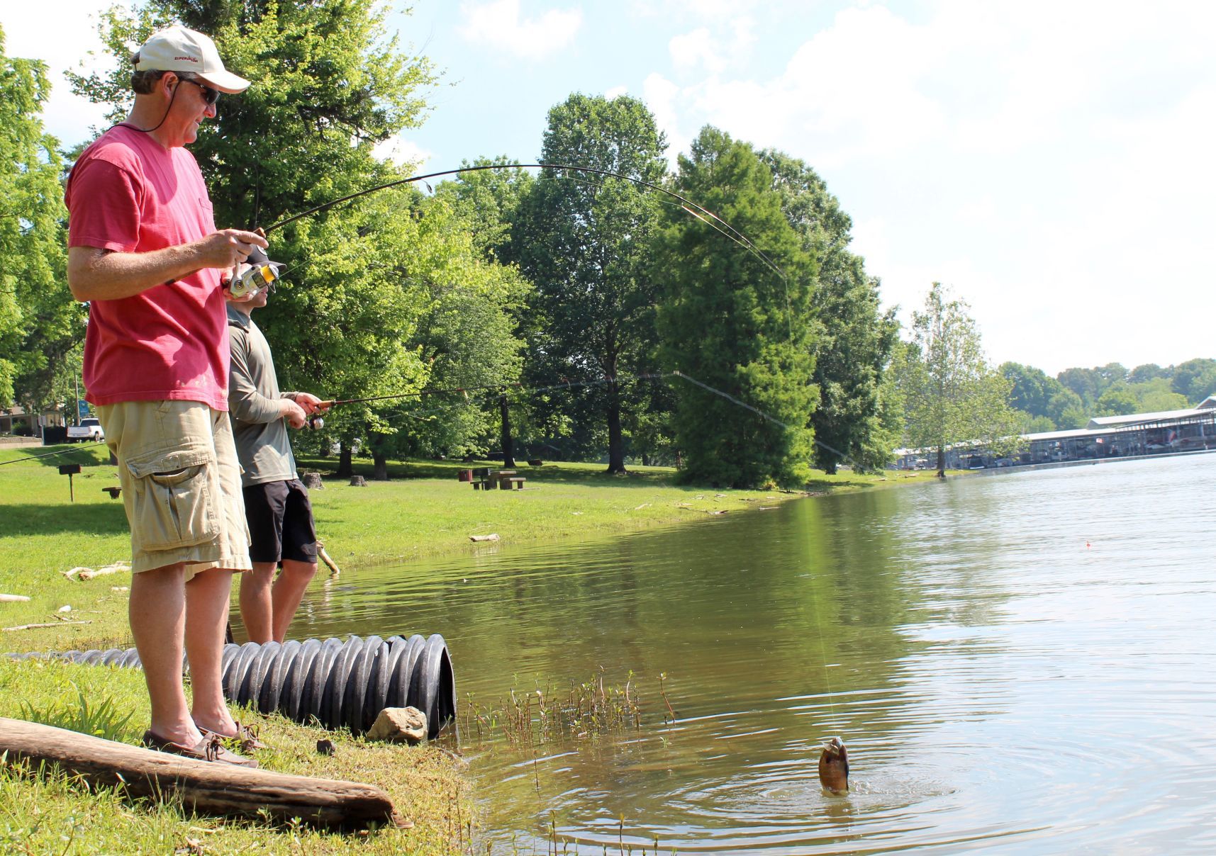Fishing for lunch
